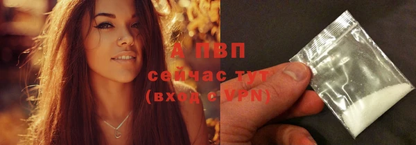 PSILOCYBIN Заволжск