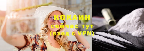 PSILOCYBIN Заволжск
