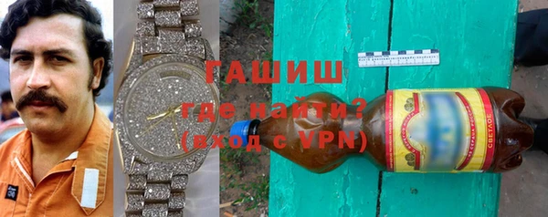 гидра Инта