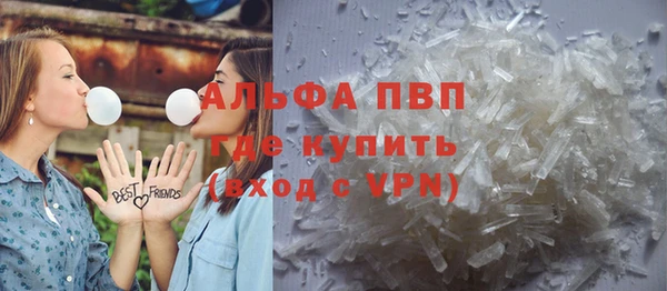 сатива Иннополис