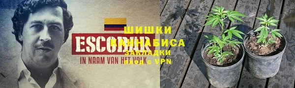 mdma Заводоуковск