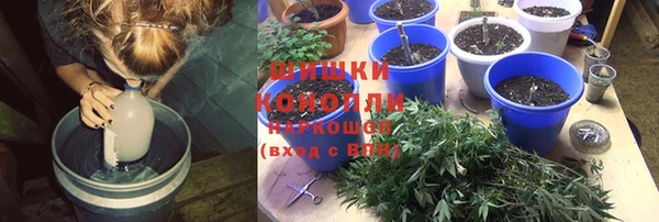 PSILOCYBIN Заволжск